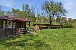 853 Caler Rd, Brasstown, NC 28902 - Photo 12