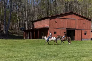 853 Caler Rd, Brasstown, NC 28902 - Photo 124