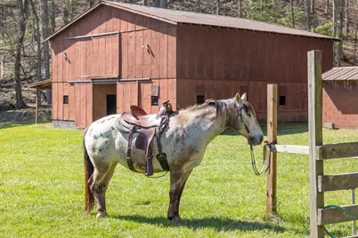 853 Caler Road, Brasstown, NC 28902 - Photo 126