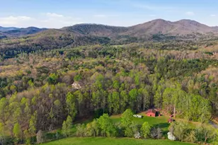 853 Caler Rd, Brasstown, NC 28902 - Photo 118