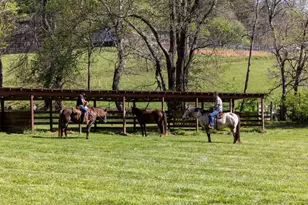 853 Caler Rd, Brasstown, NC 28902 - Photo 122
