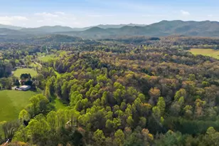 853 Caler Rd, Brasstown, NC 28902 - Photo 128