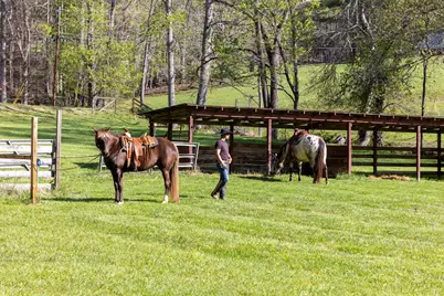 853 Caler Road, Brasstown, NC 28902 - Photo 10