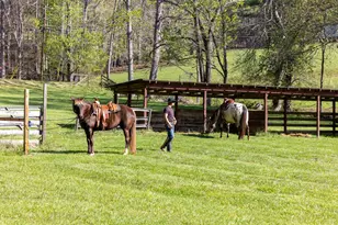 853 Caler Rd, Brasstown, NC 28902 - Photo 10