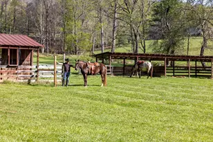 853 Caler Rd, Brasstown, NC 28902 - Photo 120