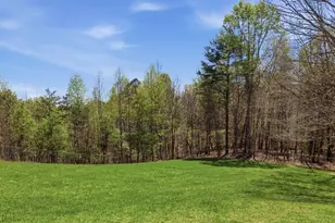 853 Caler Rd, Brasstown, NC 28902 - Photo 86