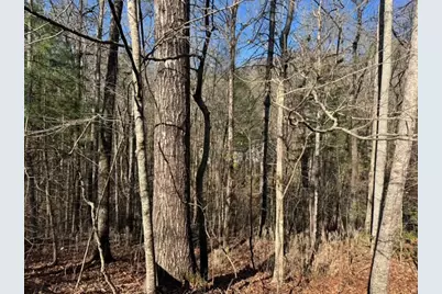 00 Robin Rd & Wren Lane, Murphy, NC 28906 - Photo 4