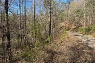 00 Robin Rd & Wren Ln, Murphy, NC 28906 - Photo 1