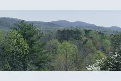 210 Canal Lake Road, Blairsville, GA 30512 - Photo 52
