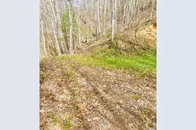 26 Hidden Falls Trail, Robbinsville, NC 28771 - Photo 10