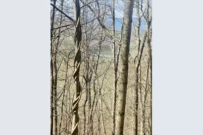 26 Hidden Falls Trail, Robbinsville, NC 28771 - Photo 4