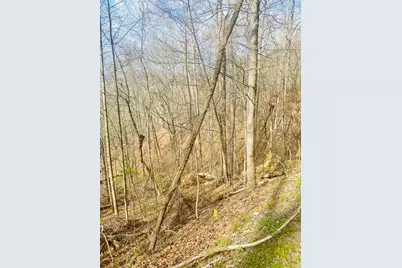 26 Hidden Falls Trail, Robbinsville, NC 28771 - Photo 8