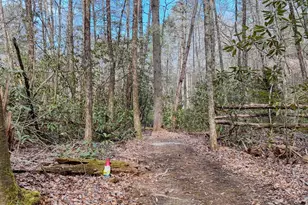 520 Farmer Dr, Murphy, NC 28906 - Photo 58