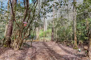 520 Farmer Dr, Murphy, NC 28906 - Photo 132
