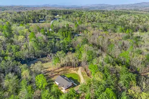 7373 Sr-325, Blairsville, GA 30512 - Photo 142