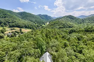 292 Wolf Creek Heights, Almond, NC 28702 - Photo 46