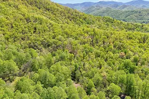 8 Stoney Brook Trail, Hayesville, NC 28904 - Photo 44