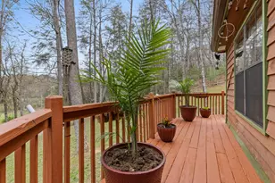 541 Black Ankle Creek, Cherry Log, GA 30522 - Photo 8