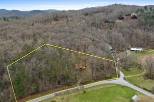 541 Black Ankle Creek, Cherry Log, GA 30522 - Photo 10