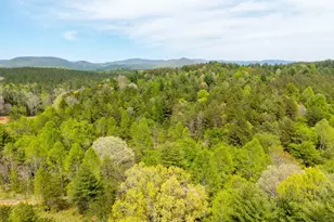 125 Milk and Honey Dr, Murphy, NC 28902 - Photo 1