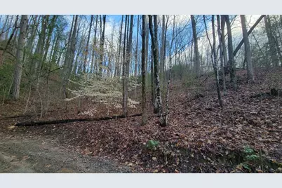 27 Page Lane, Murphy, NC 28906 - Photo 4
