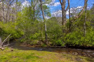 1303 Atoah Rd, Robbinsville, NC 28771 - Photo 42