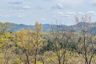 39 Horseshoe Branch, Murphy, NC 28906 - Photo 12