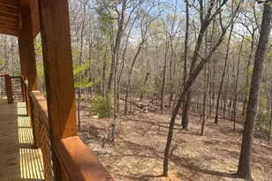 39 Horseshoe Branch, Murphy, NC 28906 - Photo 10