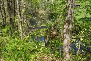 377 Ed Graves Rd, Murphy, NC 28906 - Photo 36