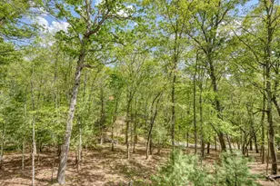 100 Fern Cv Ln, Murphy, NC 28906 - Photo 20