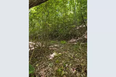 00 Talc Mine Road, Murphy, NC 28906 - Photo 1
