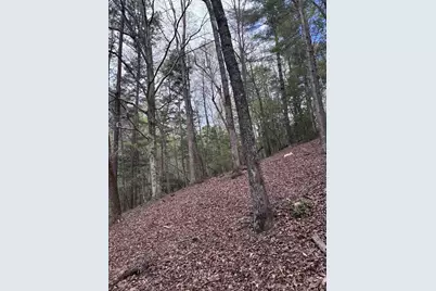 140 Hounds Run Lane, Murphy, NC 28906 - Photo 12