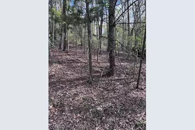 140 Hounds Run Lane, Murphy, NC 28906 - Photo 8