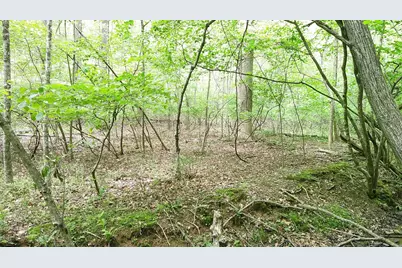 00 Tracks Hollow, Murphy, NC 28906 - Photo 16