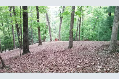 00 Tracks Hollow, Murphy, NC 28906 - Photo 36