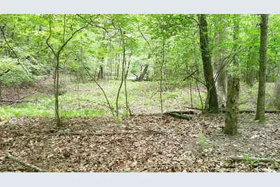 00 Tracks Hollow, Murphy, NC 28906 - Photo 20