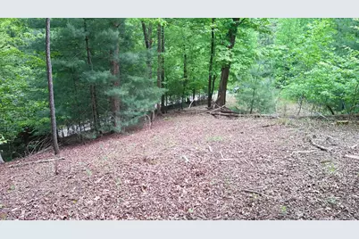 00 Tracks Hollow, Murphy, NC 28906 - Photo 38