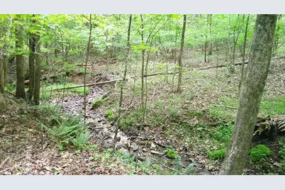 00 Tracks Hollow, Murphy, NC 28906 - Photo 24
