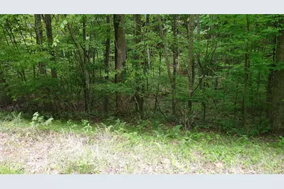 00 Tracks Hollow, Murphy, NC 28906 - Photo 8