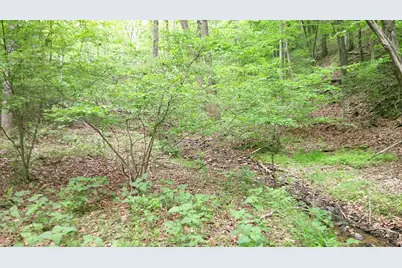 00 Tracks Hollow, Murphy, NC 28906 - Photo 12