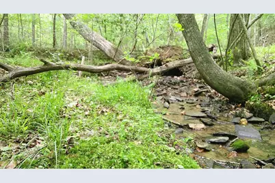 00 Tracks Hollow, Murphy, NC 28906 - Photo 6