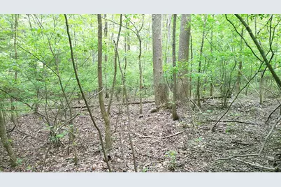 00 Tracks Hollow, Murphy, NC 28906 - Photo 26