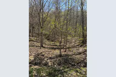 Lot 16-N High Meadows Drive, Hayesville, NC 28904 - Photo 6