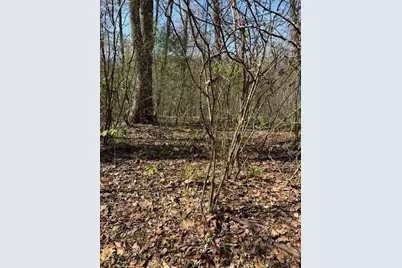 Lot 16-N High Meadows Drive, Hayesville, NC 28904 - Photo 2
