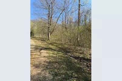 Lot 16-N High Meadows Drive, Hayesville, NC 28904 - Photo 10