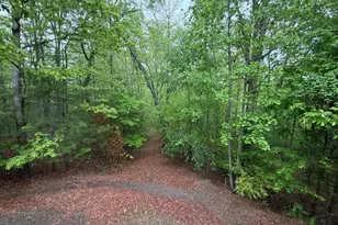 5412 Martins Creek Rd, Murphy, NC 28906 - Photo 28