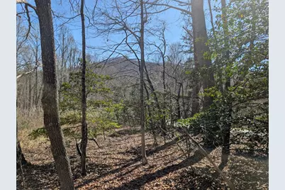 Lot 108 Smokerise Drive, Hayesville, NC 28904 - Photo 2