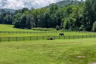 186 Rice Lndg Ct, Hayesville, NC 28904 - Photo 8