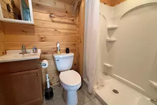 270 Marina Dr, Murphy, NC 28906 - Photo 58