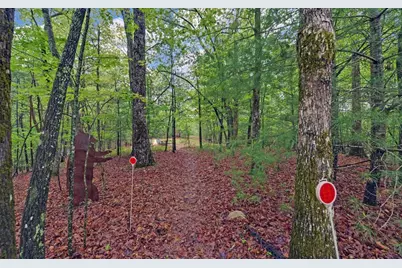 100 Carvers View Trail, Murphy, NC 28906 - Photo 42
